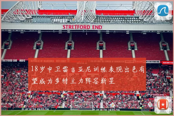 18岁中卫雷吉亚尼训练表现出色有望成为多特主力阵容新星