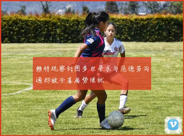 赖特观察到图多尔寻求与范德芬沟通却被冷落局势堪忧